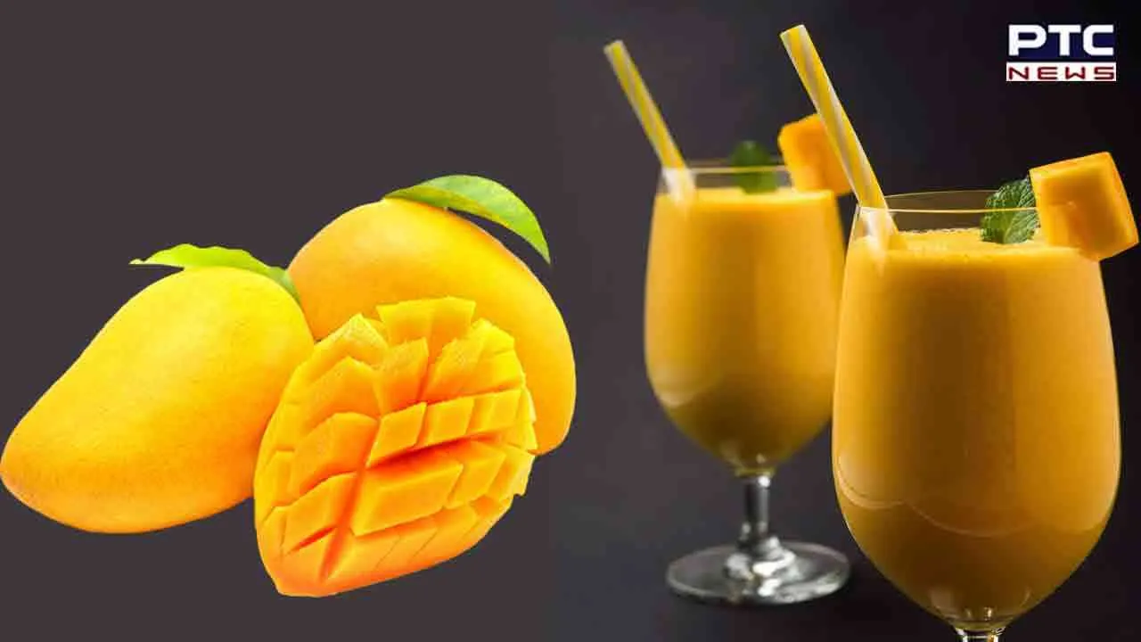Mango Shake Benefits For Kids: ਬੱਚਿਆਂ ਨੂੰ ਮੈਂਗੋ ਸ਼ੇਕ ਦੇਣ ਨਾਲ ਹੁੰਦੇ ਹਨ ਇਹ 6 ਵੱਡੇ ਫਾਇਦੇ