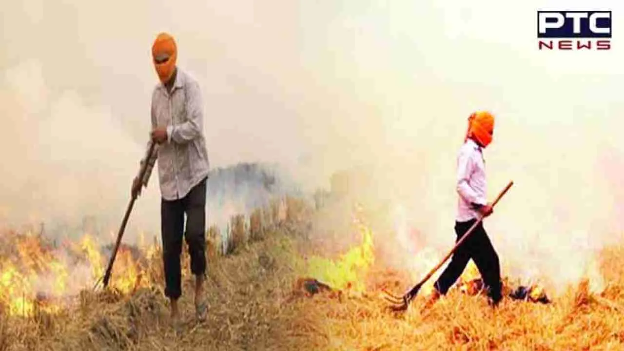 Punjab witnesses surge in stubble burning cases with 2,544 incidents in a day; Bathinda leads