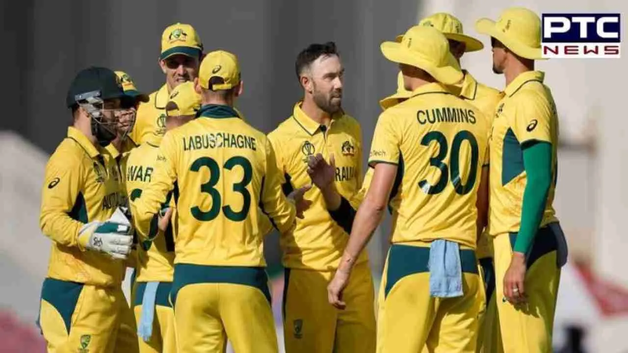 World Cup 2023: Top Australian players to watch out for in final against India