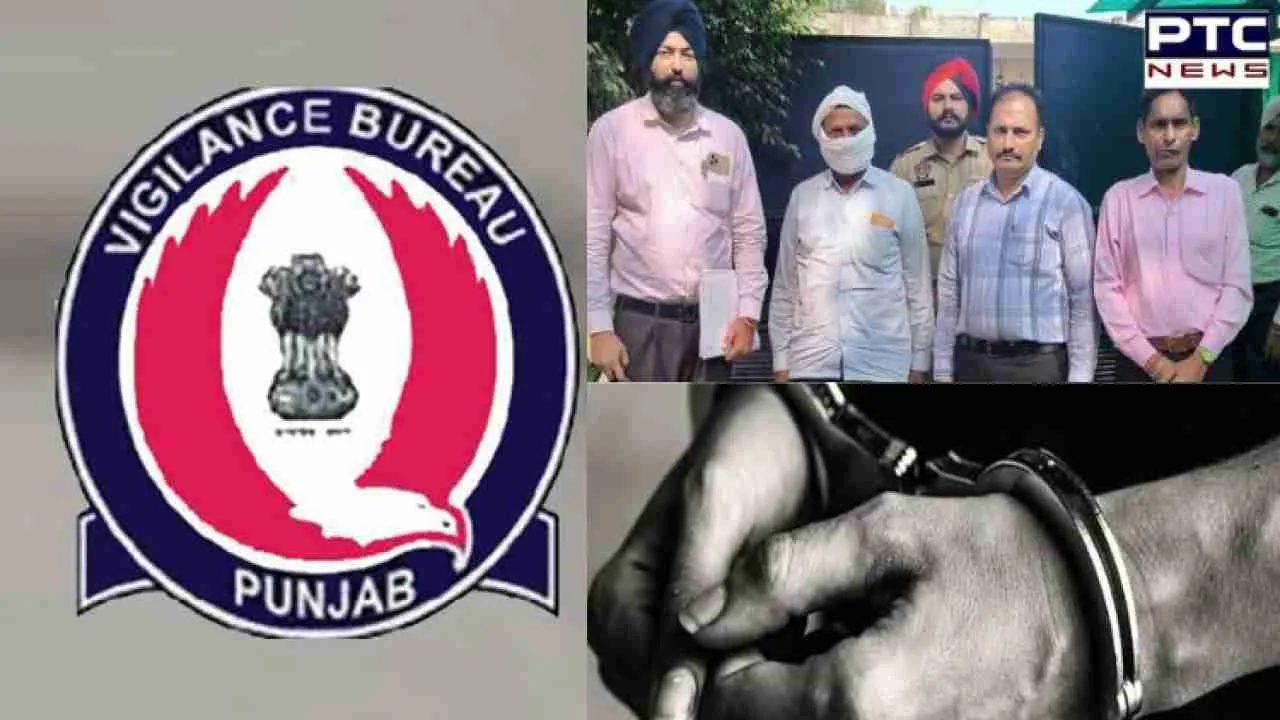 Ludhiana paddy scam: Punjab VB arrests 12 accused so far, one declared PO