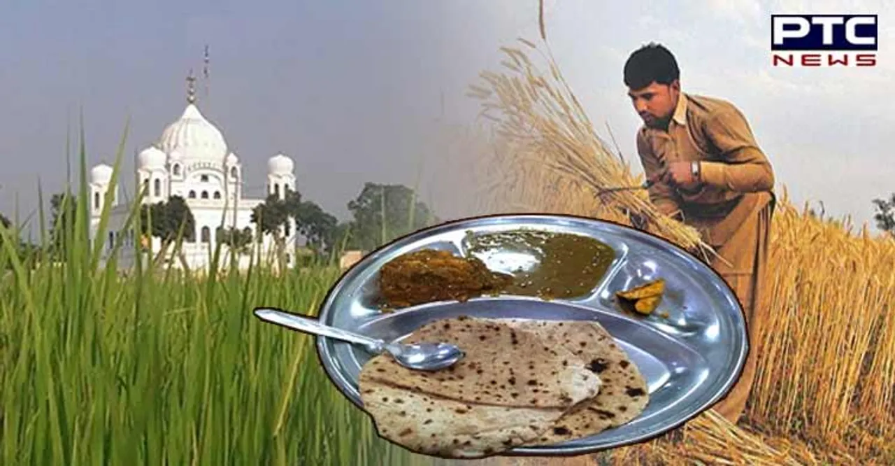 Kartarpur Sahib to serve langar made from grains grown in Baba Nanak's fields