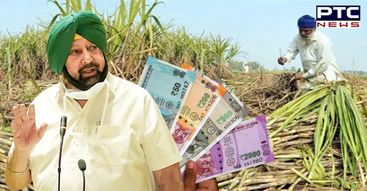 Punjab sugarcane farmers to get Rs 360 per quintal, end agitation