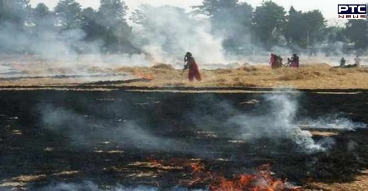 Man booked for burning stubble in Punjab's Bathinda