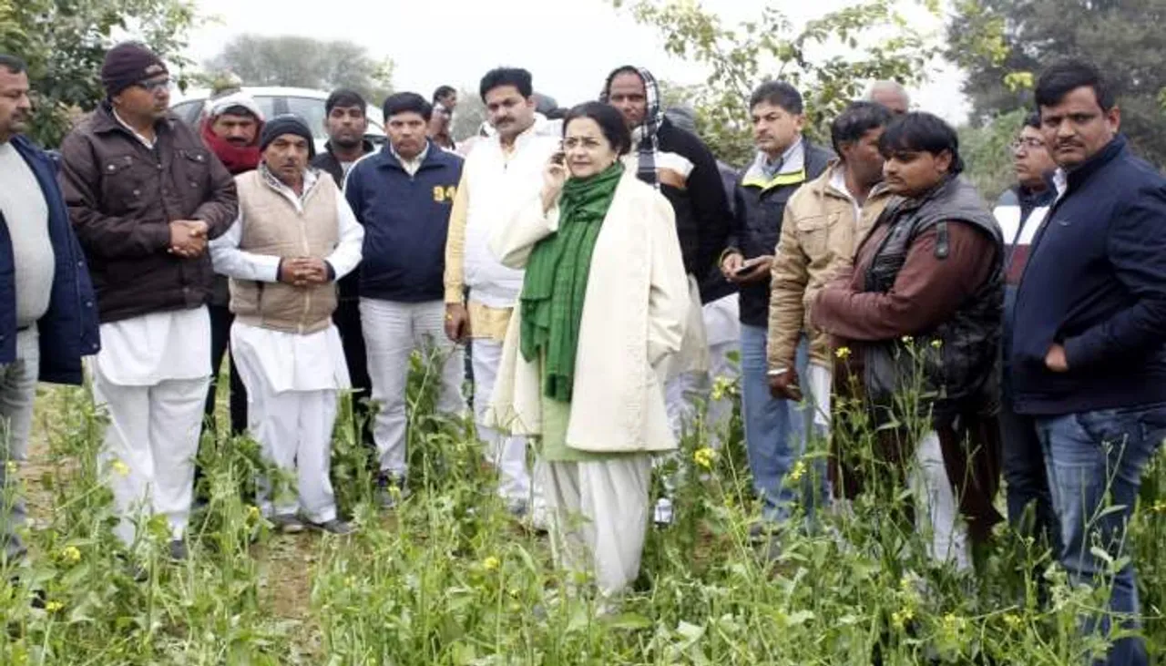 ओलावृष्टि से हुई बर्बाद हुई फसलों का तुरंत दिया जाए मुआवजा: किरण