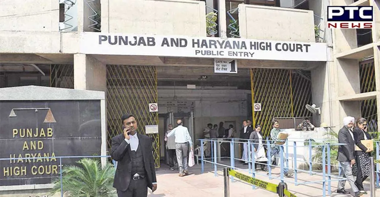 High Court orders removal of 1,259 JBT teachers of Haryana; directs new recruitment