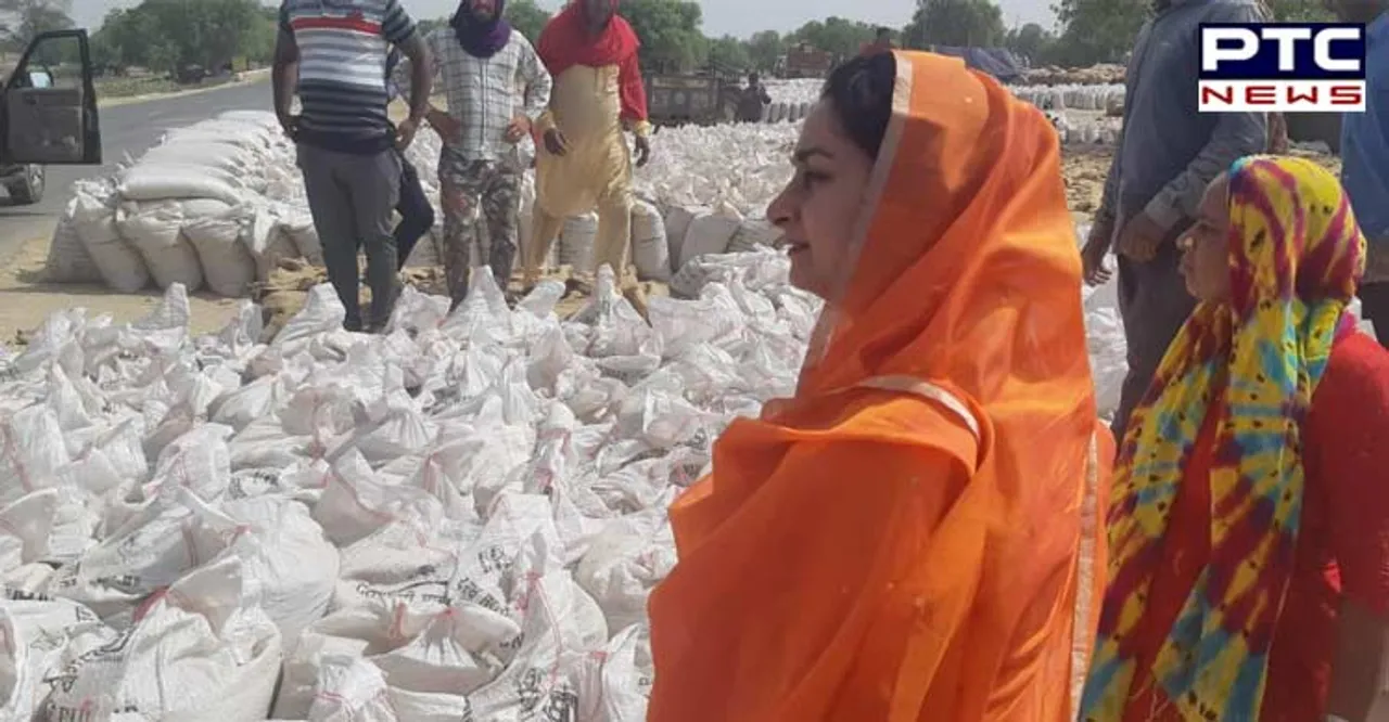 Instead of spreading canards, tell why lifting not being done in Mandis - Harsimrat Badal to CM