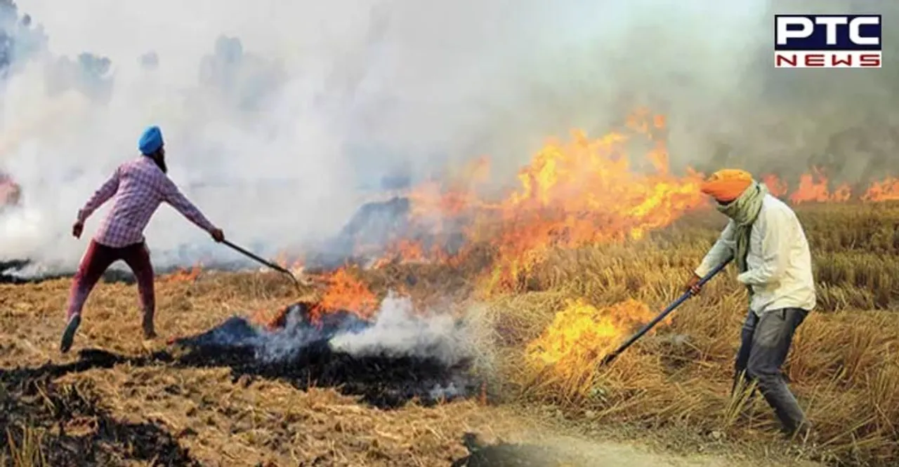 700 incidents of stubble burning reported in Punjab, says Kuldeep Singh Dhaliwal