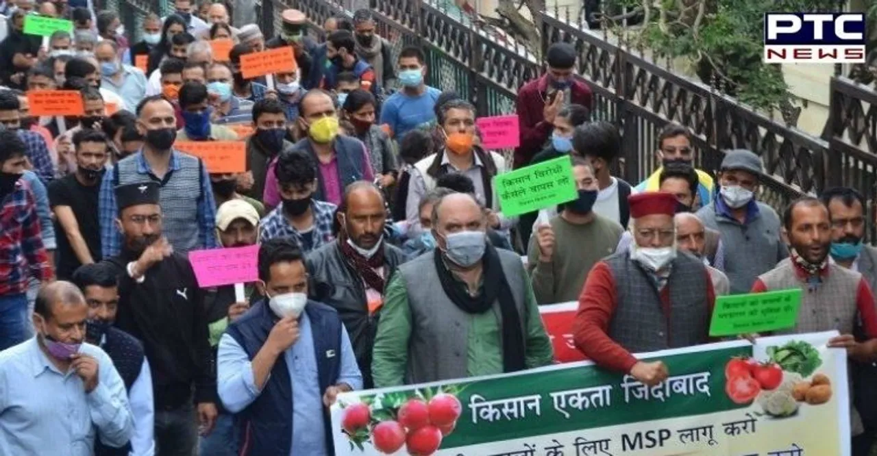 Himachal farmers protest drop in apple prices, seek MSP