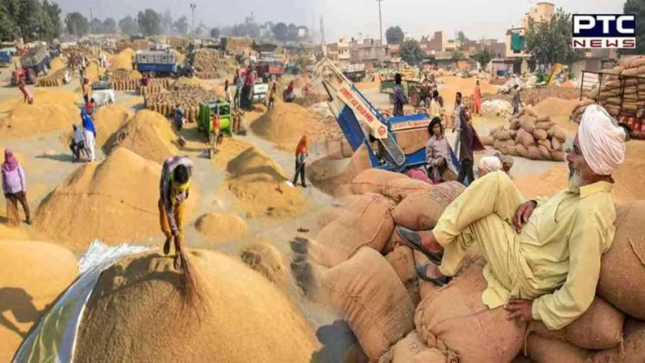 Punjab Govt extends paddy procurement date by one day