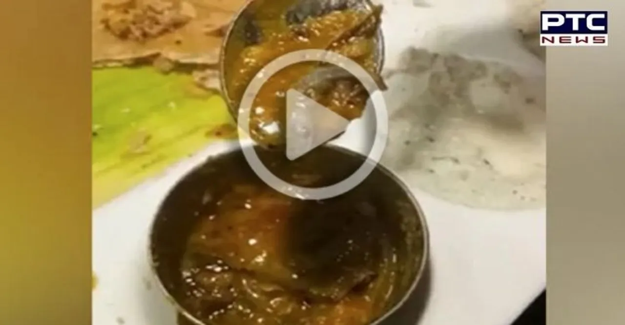 Viral Video: Man finds lizard in sambar at Delhi's top restaurant