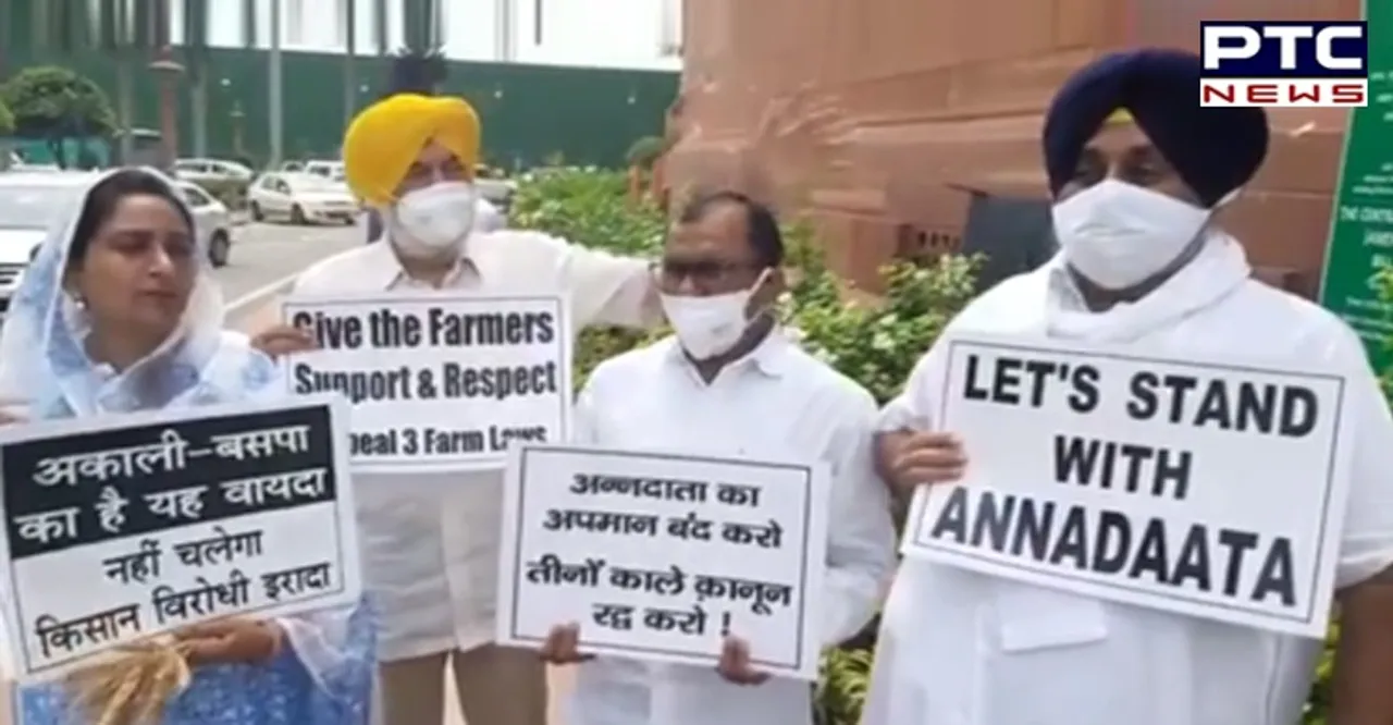 Monsoon Session 2021: SAD-BSP MPs stand firm against farm laws outside Parliament