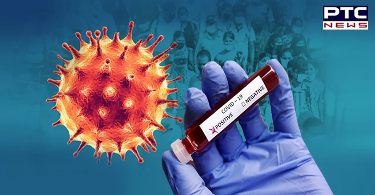 Shocking! Punjab reports biggest single-day spike of coronavirus cases