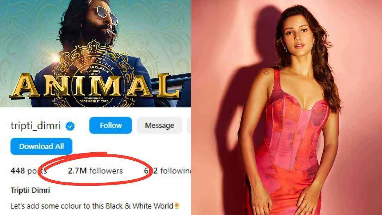 From 600K to 2.7M: Triptii Dimri&#039;s Instagram Explodes After &#039;Animal&#039; Sensation