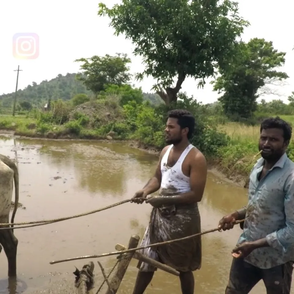 Muddy Indian Farmers Show The World How To Take Kiki Challenge In A Safer Way