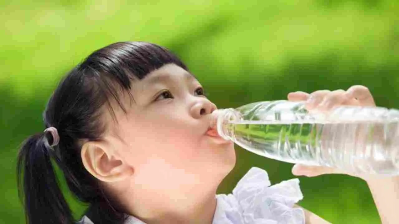 Exploring the Hidden Dangers of Plastic Water Bottle Usage