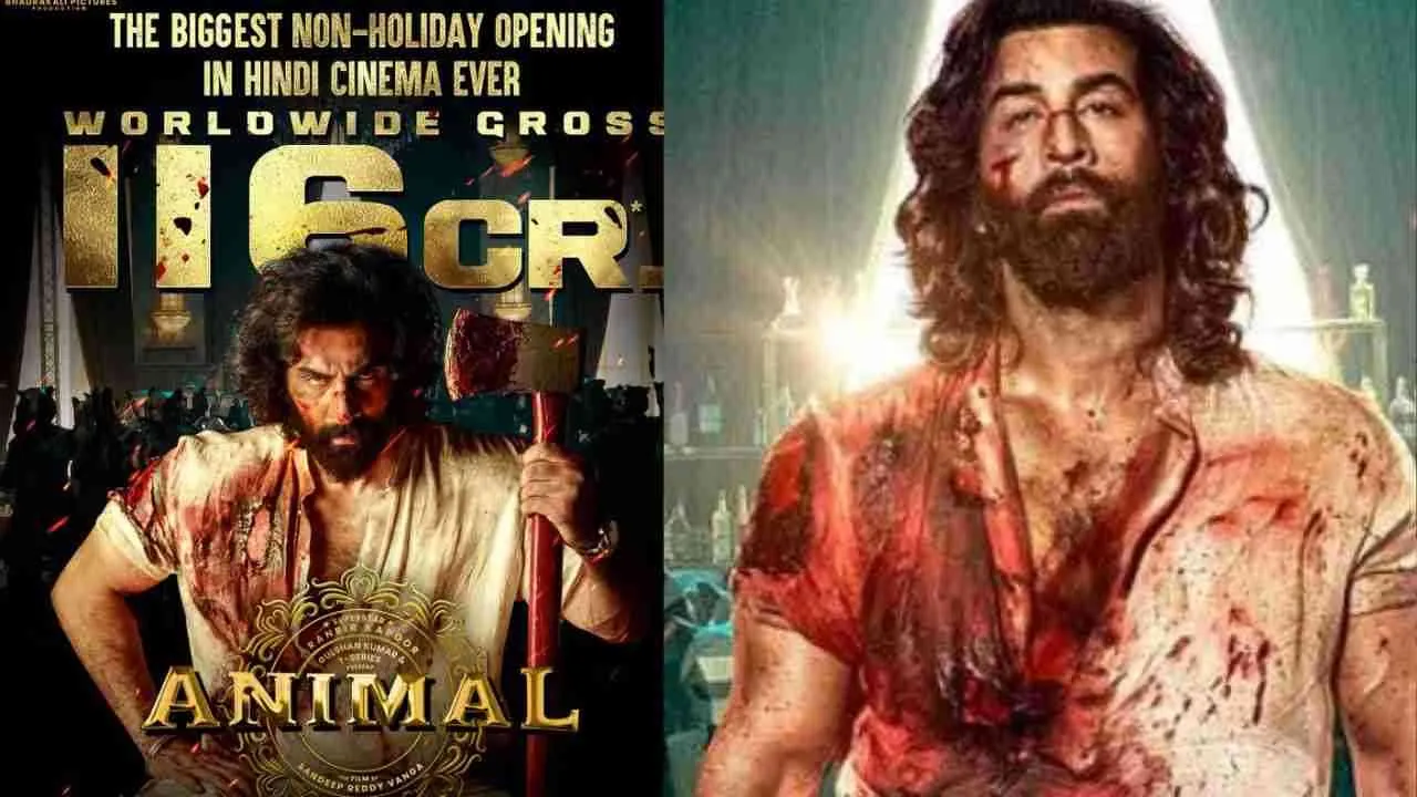 &#039;Animal&#039; Scripts History with Largest Non-Holiday Opening in Hindi Film Industry