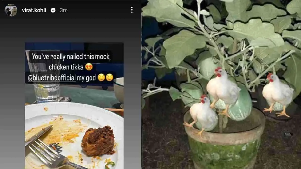 Virat Kohli Raves About Vegetarian &#039;Mock Chicken Tikka&#039; on Instagram!