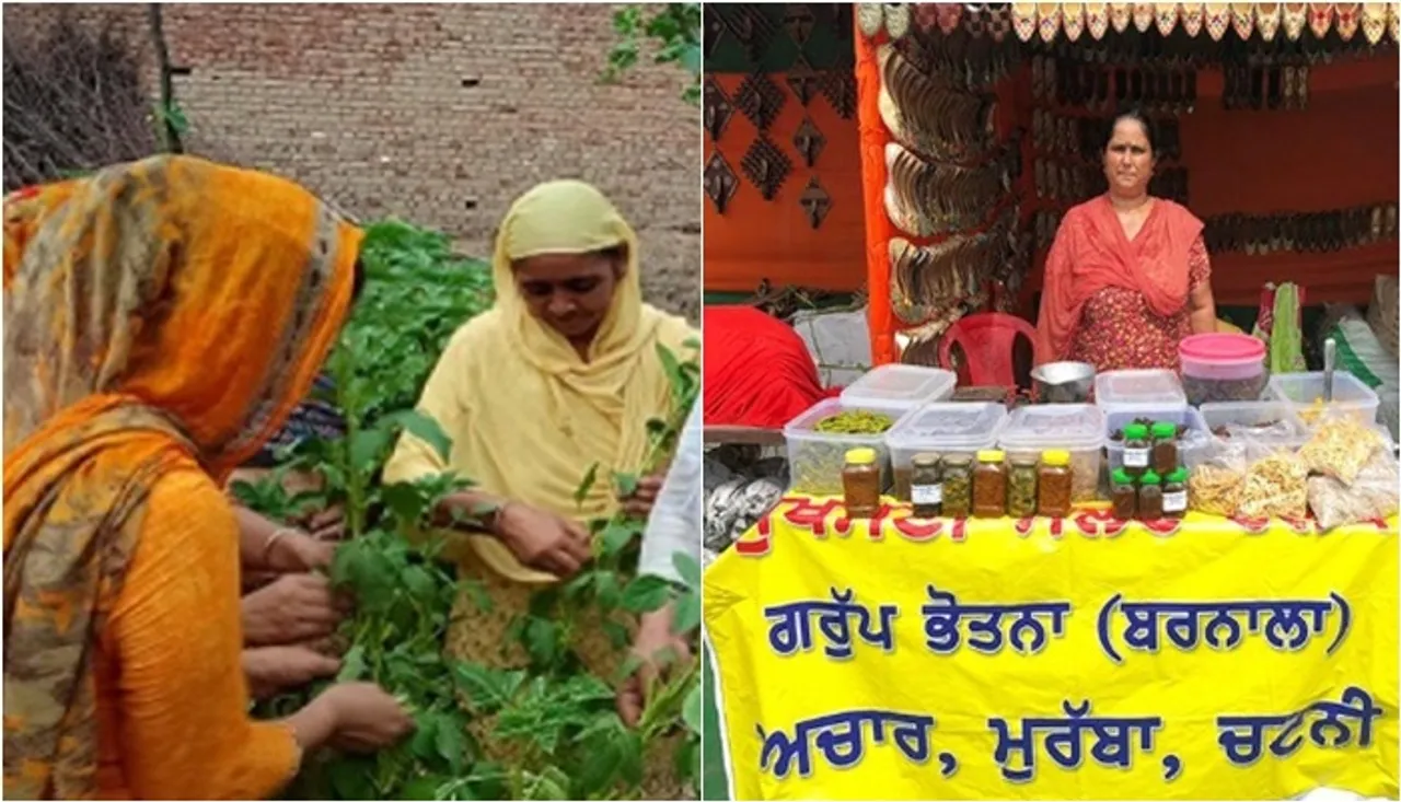 Women Of Malwa Region Of Punjab Becoming Entrepreneurs By Organic Farming