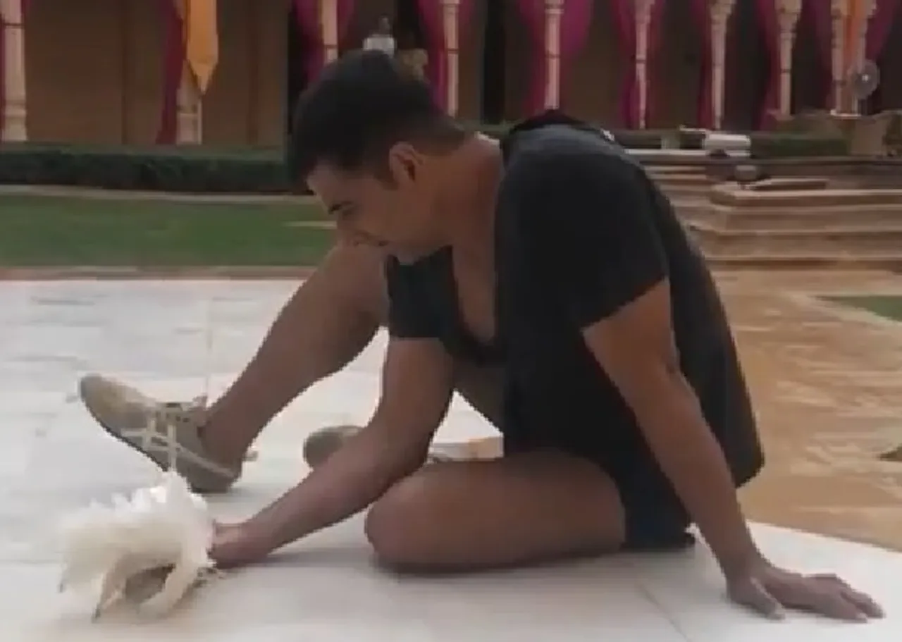 Watch - Akshay Kumar Gives Us A Lovely Sight By Feeding Pigeons With His Hands