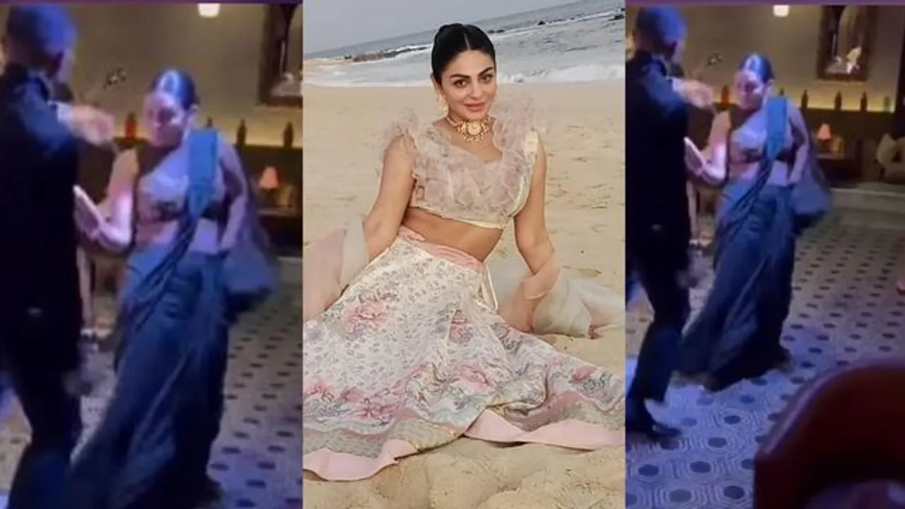 Neeru Bajwa channels her inner dancer at sister Rubina Bajwa's post-wedding party [Watch Video]