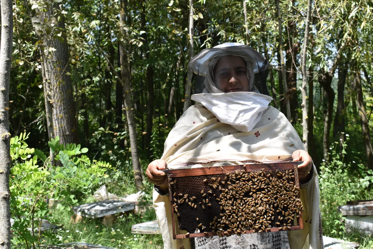 women with honey bees