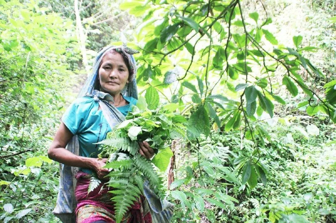 women bamboo plantation