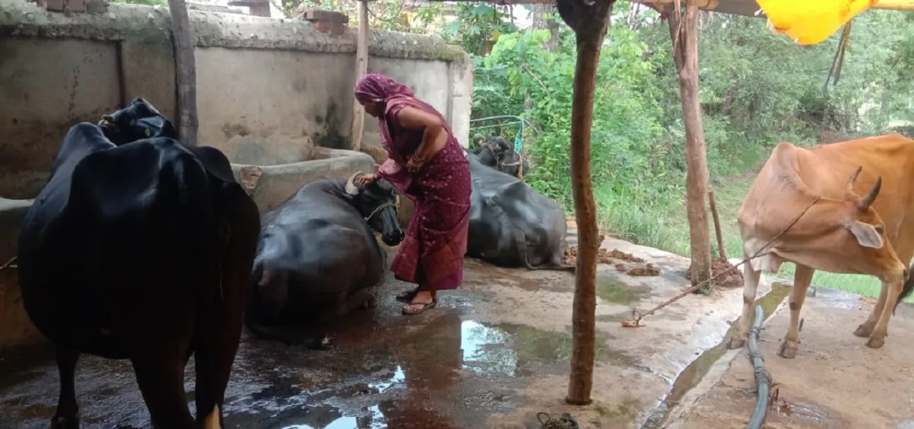 PENDRA SUDHA PIC BNR