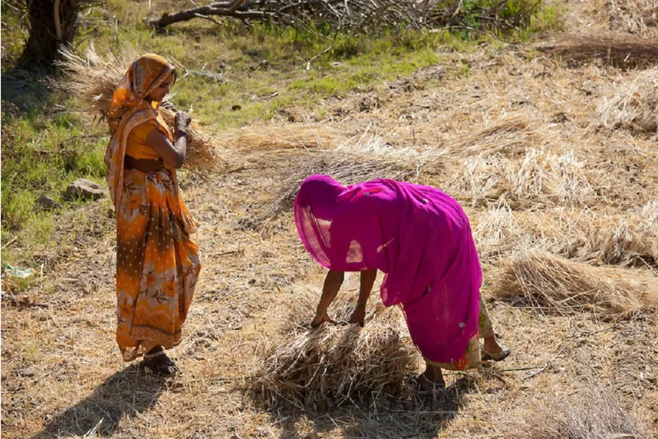 rajasthan