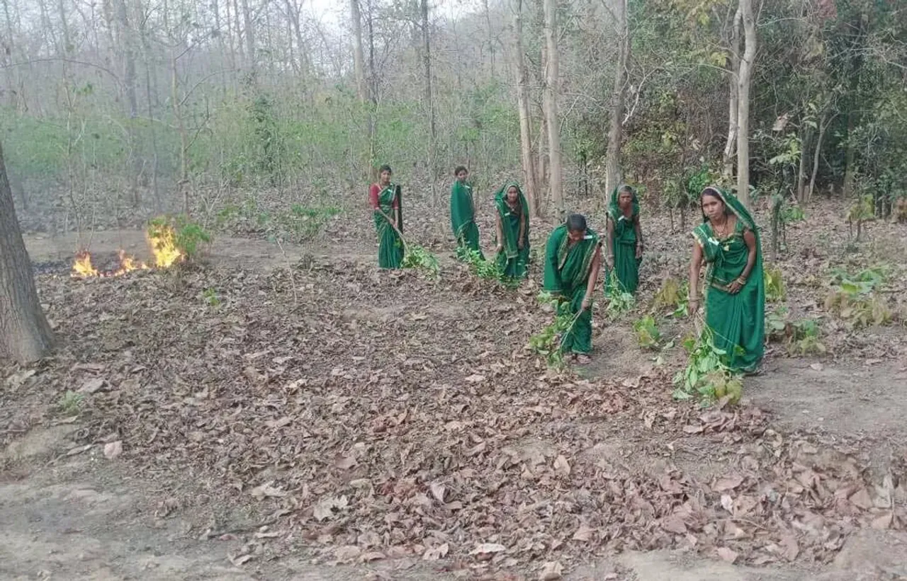 Chattisgarh forest fire 