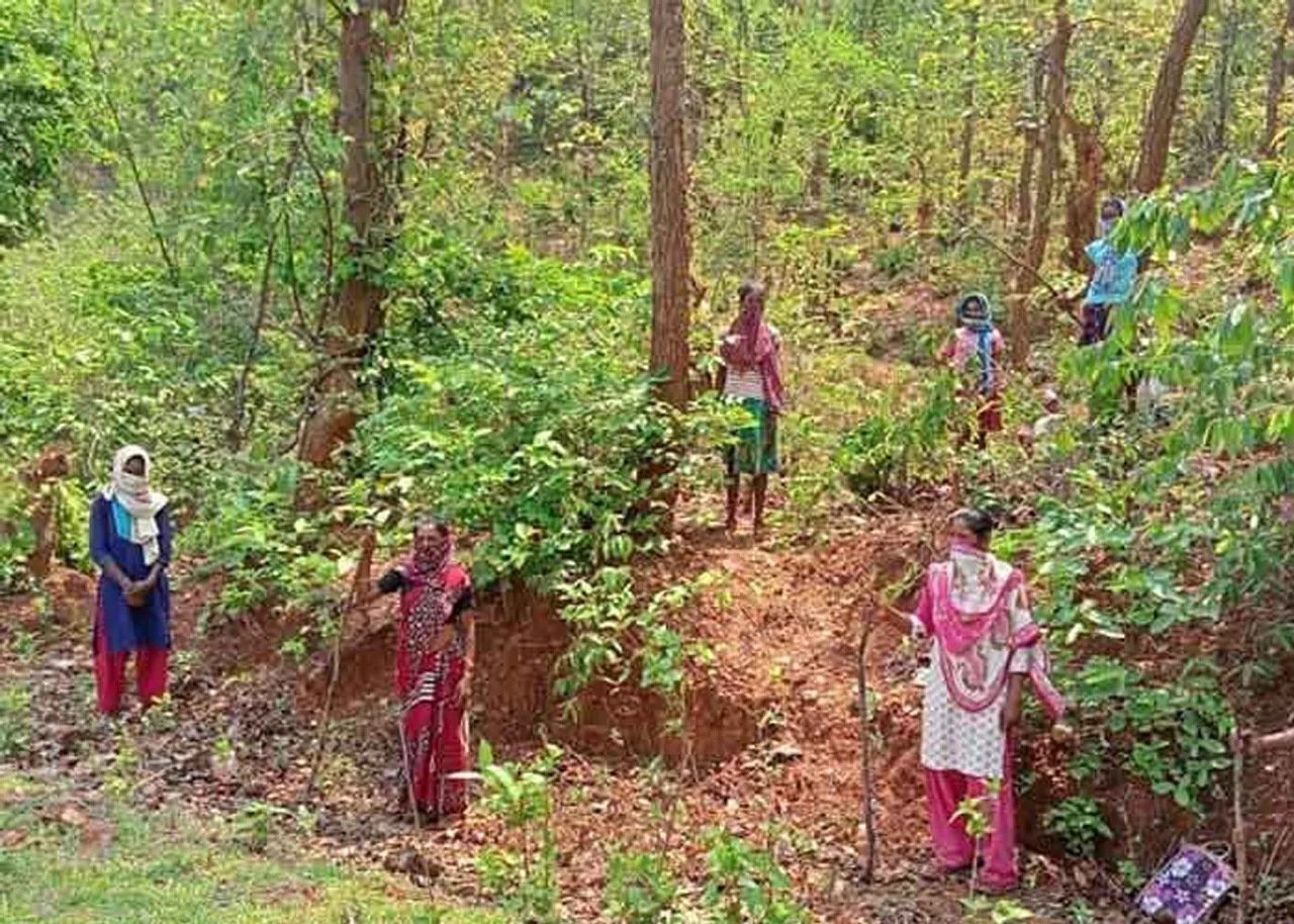 Women protecting environment