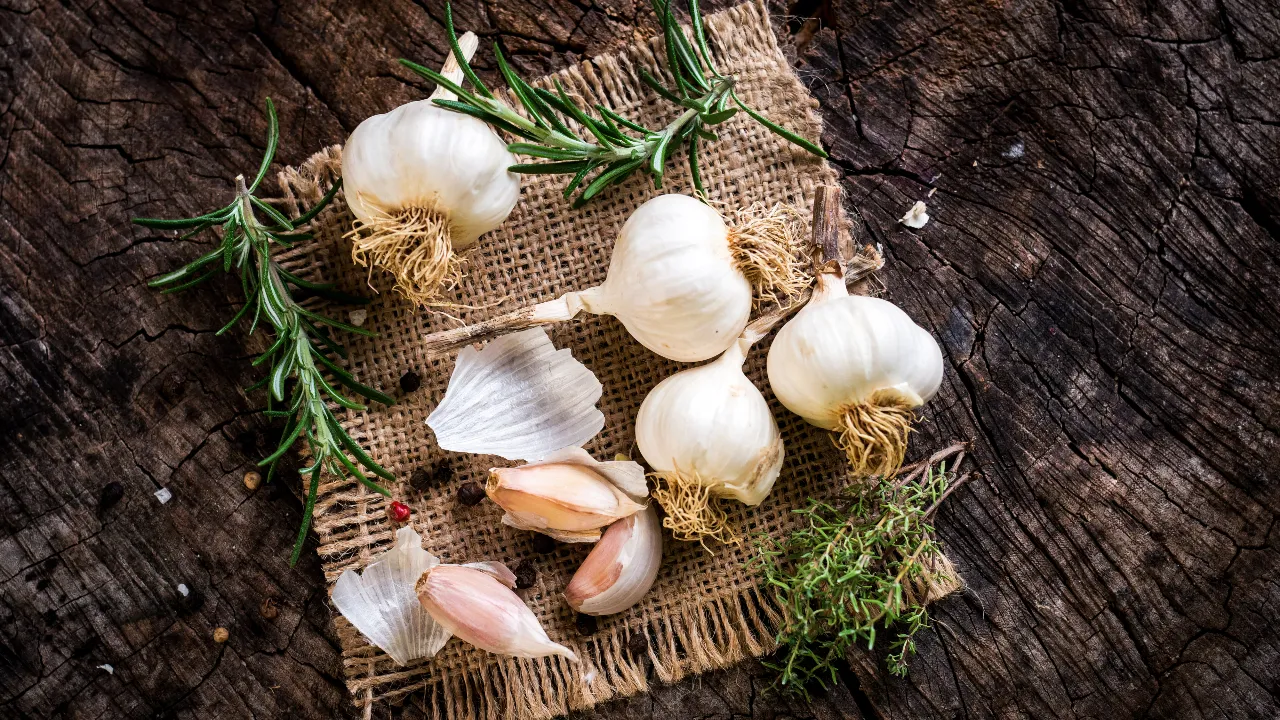 garlic