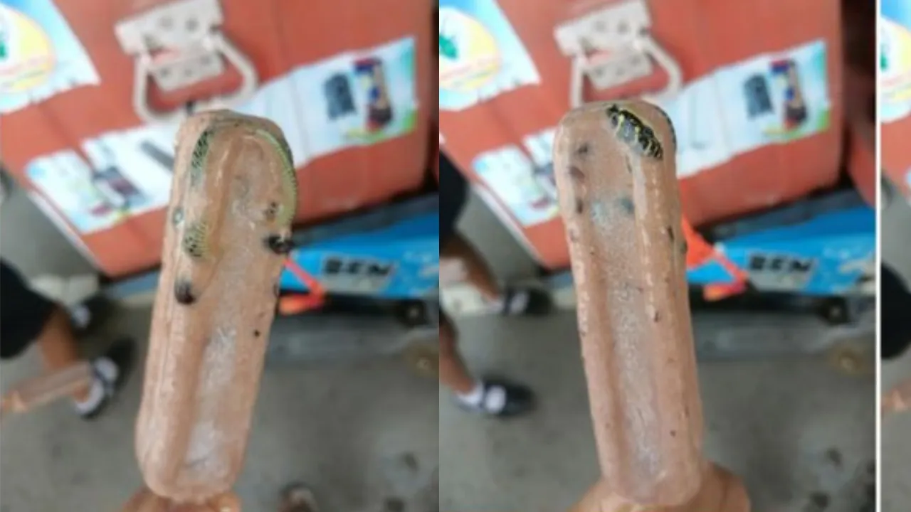 snake in ice cream