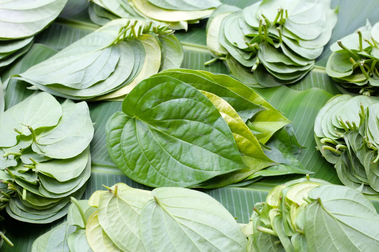 green leaves