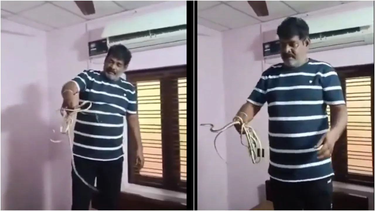 snakes in split ac 