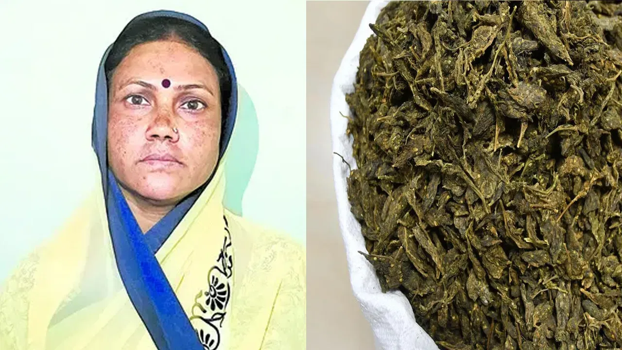  angur-bai