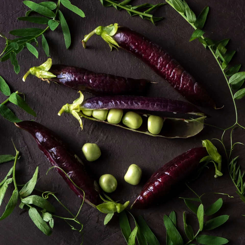 black carrots