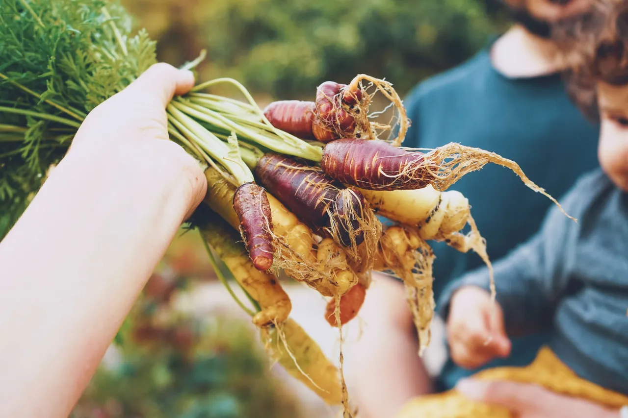 black carrots