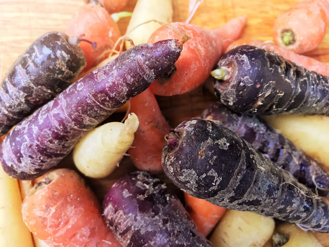 black carrots