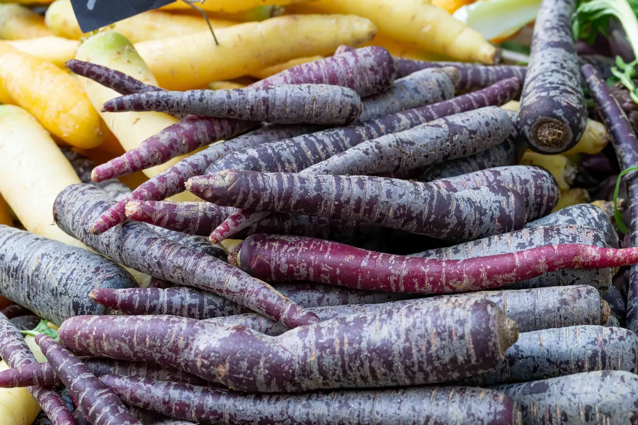 black carrots