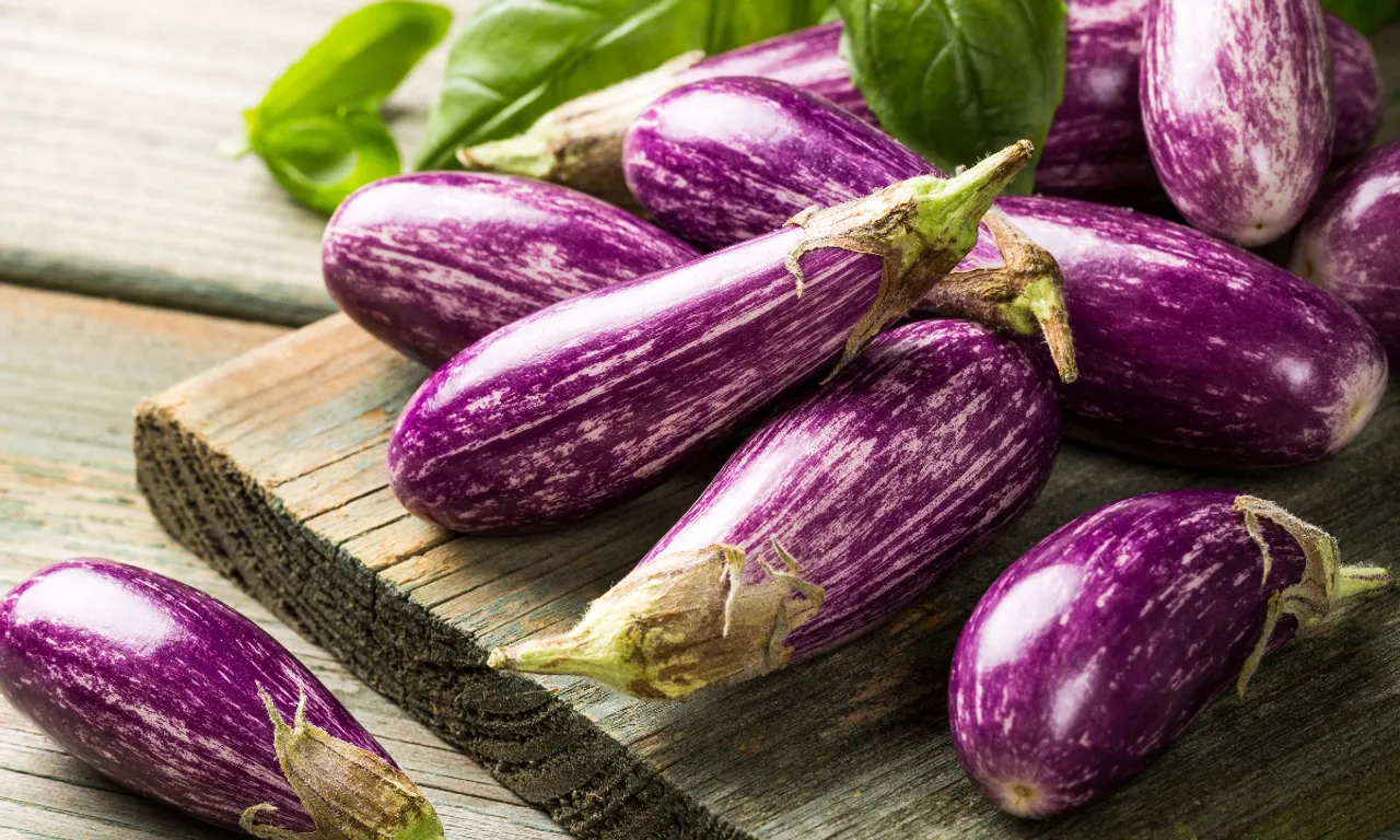 Brinjal 