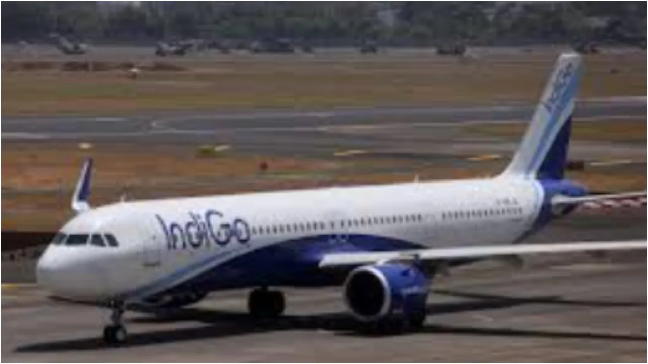 indigo