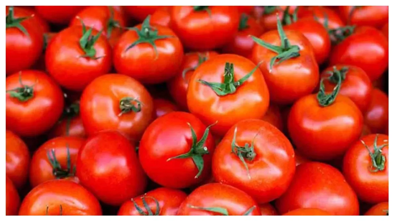 Tomato Price: టమాటా ఎంతో తెలిస్తే.. షాక్‌ అవ్వాల్సిందే..!