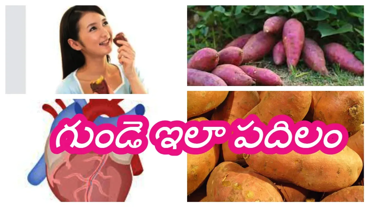 Healthy Heart :ఈ దుంపతో మీ గుండె పదిలం