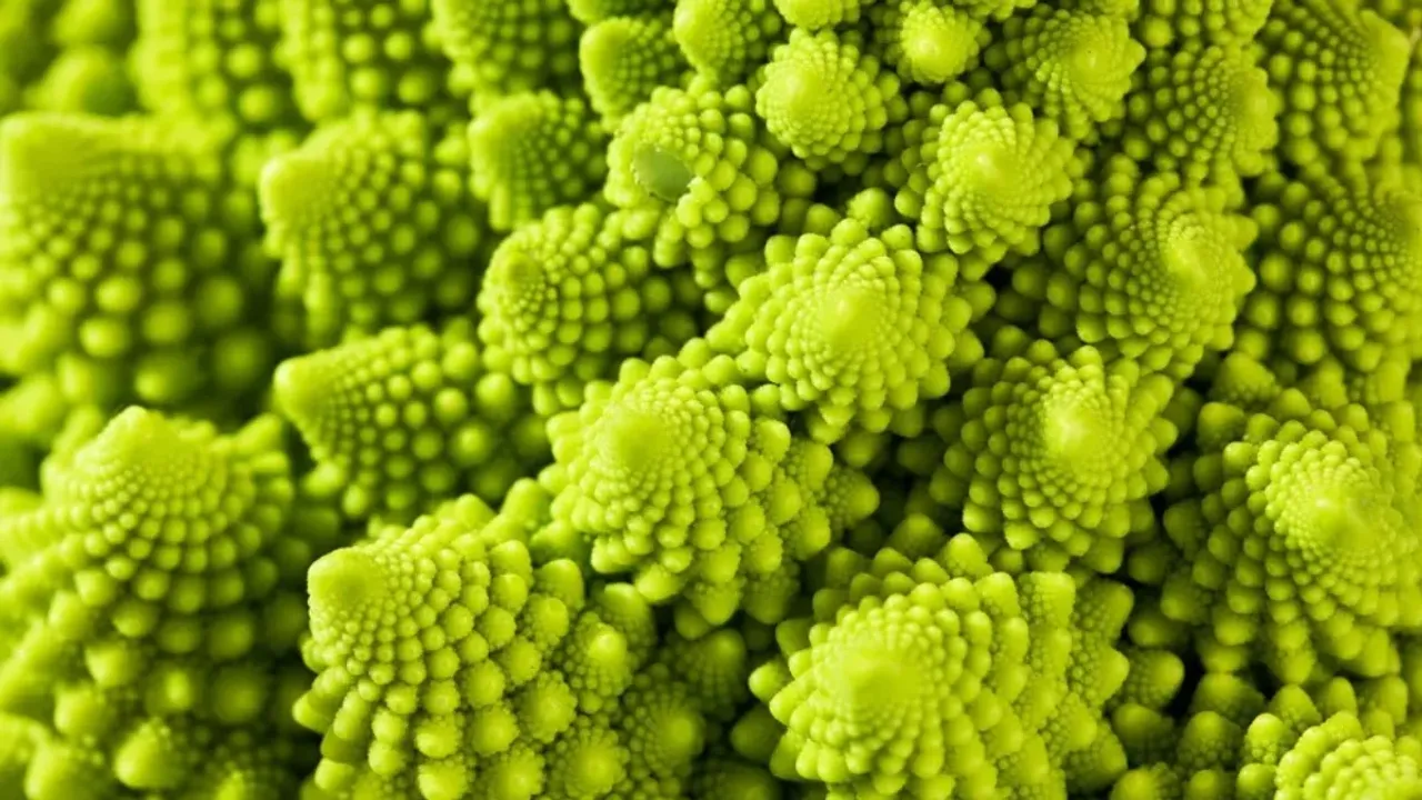 Romanesco Broccoli: రోమనెస్కో బ్రొకోలి గురించి ఎప్పుడైనా విన్నారా?