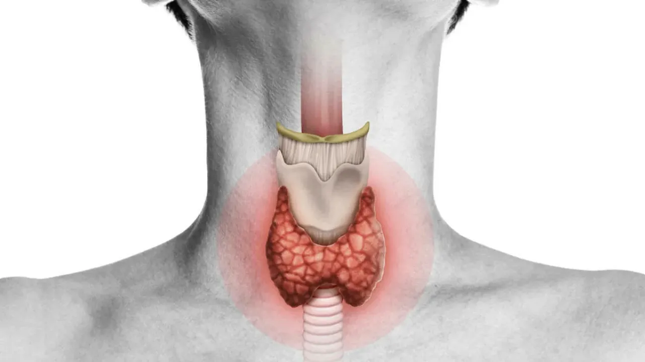 Men Thyroid: పురుషుల్లో థైరాయిడ్ లైంగిక ఆరోగ్యంపై ప్రభావం చూపుతుందా?