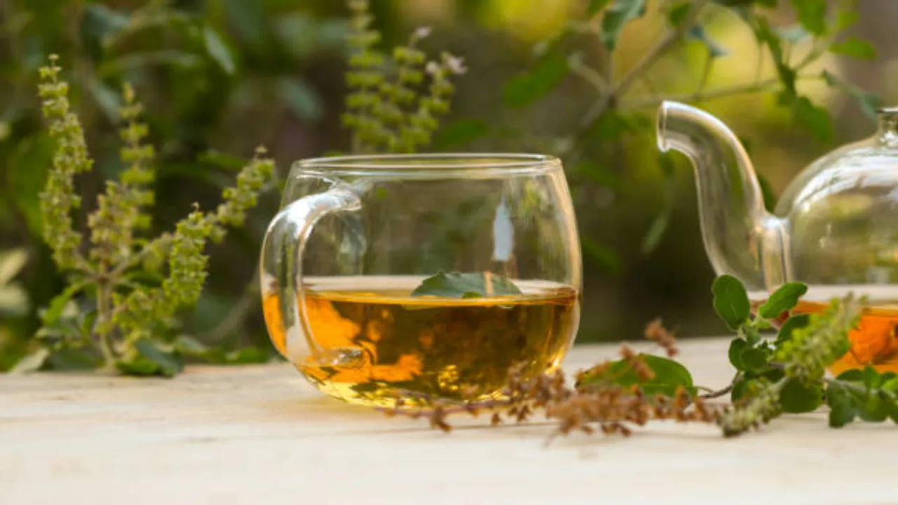 Celery Tea: సెలెరీ టీని ఎప్పుడైనా ట్రై చేశారా.? ఒక్కసారి తాగితే సీజన్ సమస్యలు పరార్