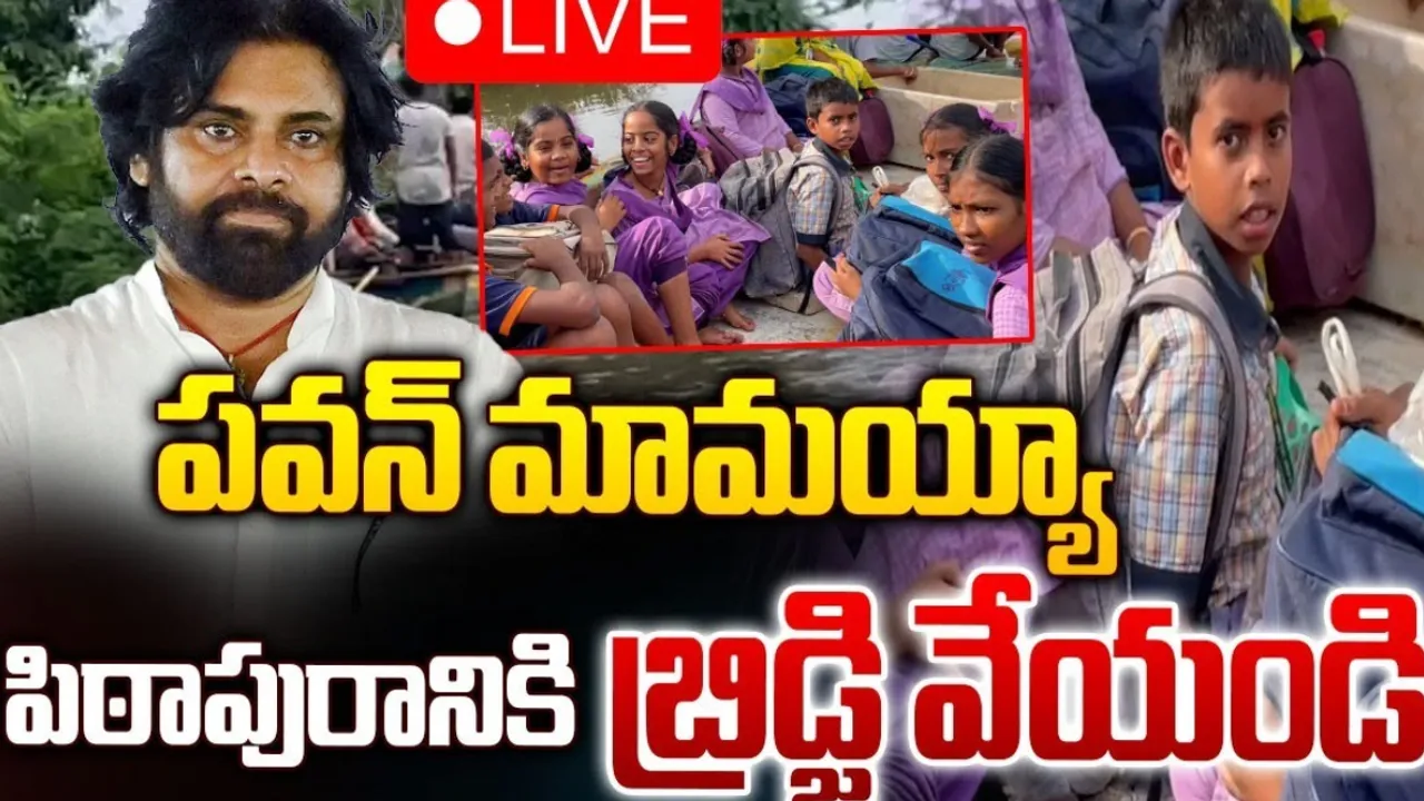 Pawan kalyan: డిప్యూటీ సీఎం ఇలాకాలో తప్పని వరద కష్టాలు.. పడవలపై ప్రమాదకరంగా..