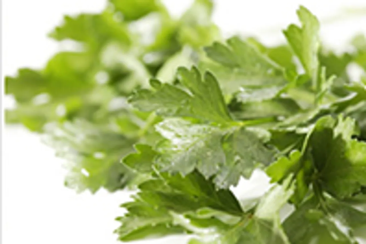 flavour it up with parsley