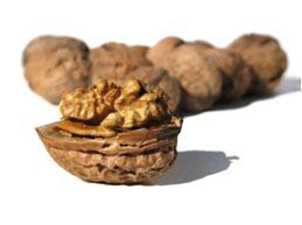 walnuts