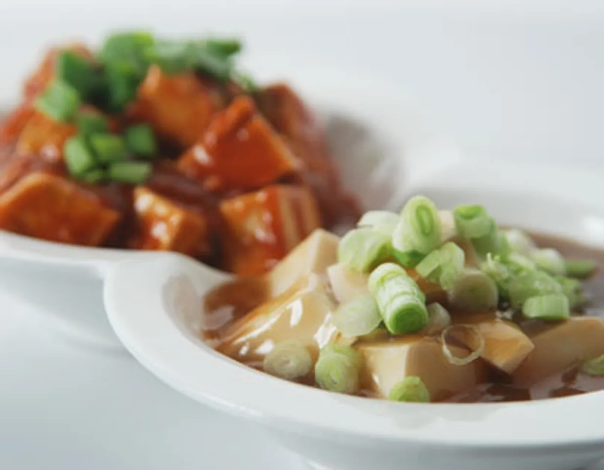 Yin Yan Bean Curd